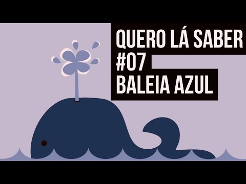Quero Lá Saber #07 - Baleia Azul