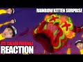RAPPER REACTS to Rainbow Kitten Surprise - It's Called Freefall (Official Video)