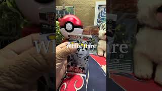 Black bolt vs white flare!!! 🤯🤯#pokemon #blackbolt #whiteflare #shorts #shortvideo #shortsfeed