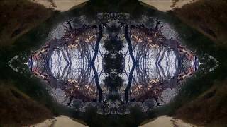 Ozric Tentacles - Curious Corn (HD)