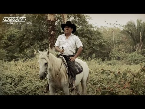 Llanura Aquí Esta Tu Hijo @ariesvigothoficial3312 (Video Oficial)