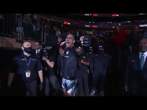 Alex Pereira debut walkout #youtubeshorts #ytshorts #shortsfeed ##
