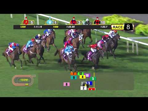 裁判杯 2020 (暹罗万代)