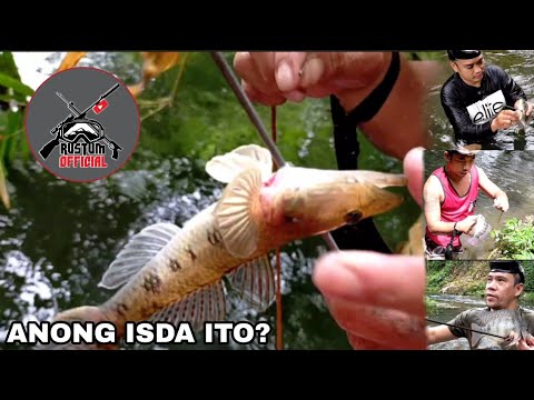 EP 87 BIYA-ya NG ILOG | CATCH & COOK| LINAW NA ULIT