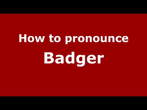 How to pronounce Badger