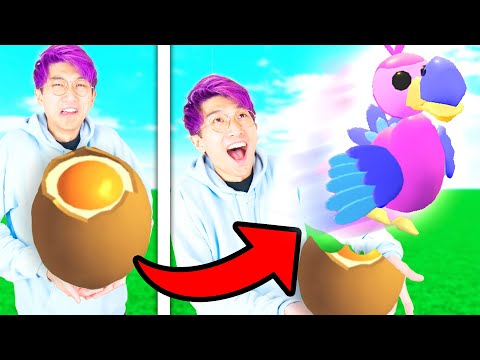 Can We Beat The FIRST TO HATCH A LEGENDARY WINS CHALLENGE In Roblox ADOPT ME!? (IMPOSSIBLE)
