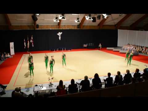 Smágentur Flykran FM 2016