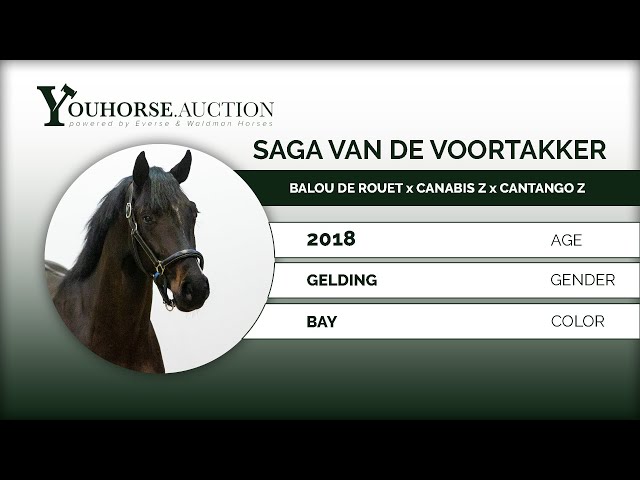 Saga van de Voortakker Jumping