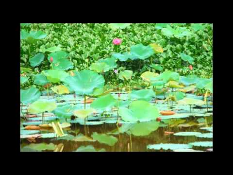 Thể hiện bởi Hà Chương