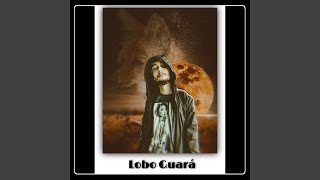 Lobo Guará