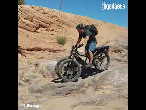 This all-terrain electric bike has two front wheels.