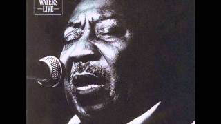 Muddy Waters - Deep Down In Florida (Live Mississippi) video