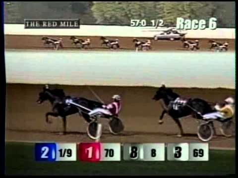 Cantab Hall - 2003 International Stallion Stakes