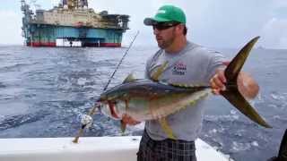 Fish Mavericks another bucket trick Tuna