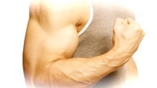 I 5 Esercizi migliori per Bicipiti in casa - Personal Trainer #26