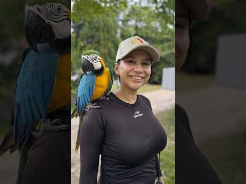 Voluntours Colombia — video 13