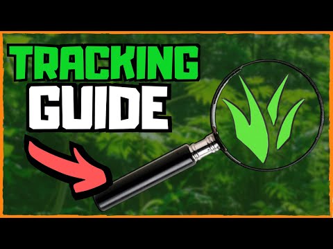 Jungle Tracking in 3 SIMPLE Steps [Guide] | League Of Legends