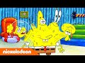 SpongeBob SquarePants | Imitatiespel | Nickelodeon Nederlands