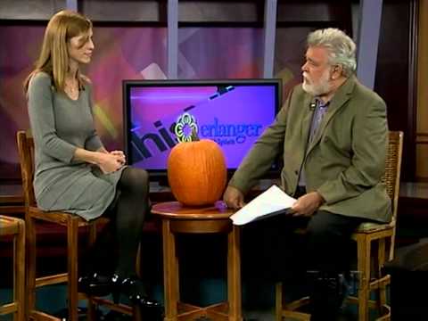 TNT Erlanger - This-N-That: Melanie Blake