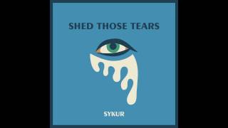 'Shed Those Tears' by SYKUR (Kris Di Angelis 'Circus' Remix)