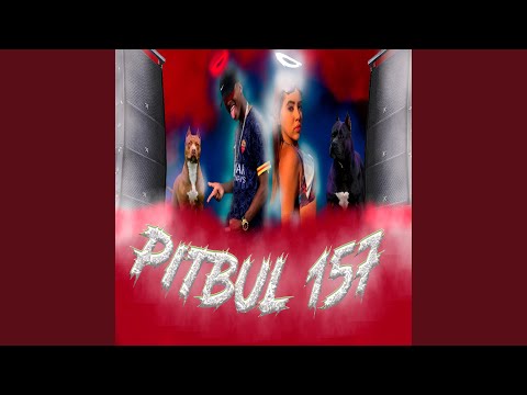 Pitbull 157