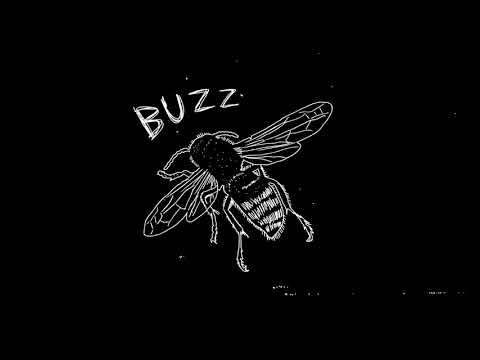 Video thumbnail for Buzz