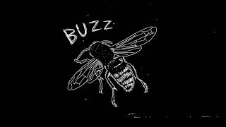 Buzz Music Video