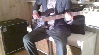 TOM PETTY &amp; THE HEARTBREAKERS  -  MY LIFE YOU WORLD   ( Bass Cover )