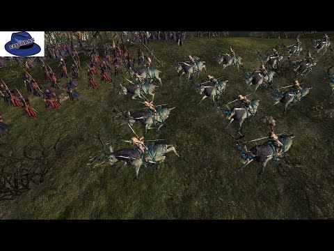 How to use a Wood Elves Sisters of the Thorn Build - TWW Strategical Analysis