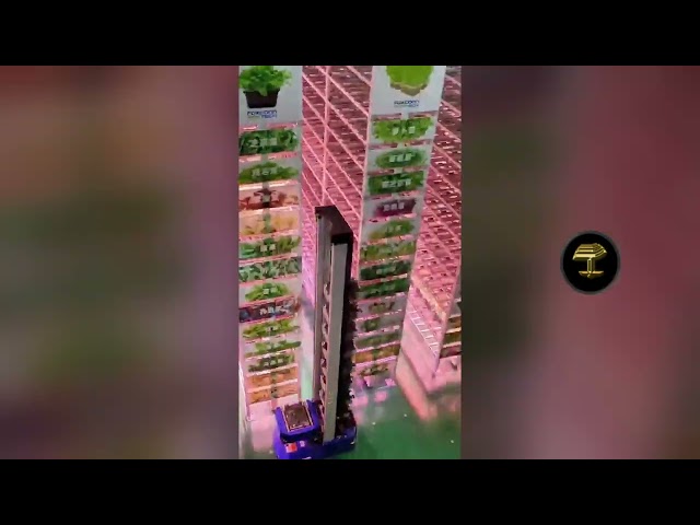 Así es la futurista granja china que planta, cultiva y cosecha por sí misma