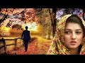 Chal Akela Chal Akela By Azam Baig
