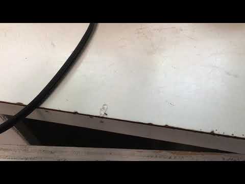 Business Owner Returns to Find Ants All Over His Kitchen in Princeton, NJ