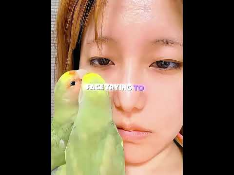 My parrots think they are doctors! 🦜👩‍⚕️