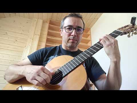 Vlasta Redl: Bečva (live guitar cover)