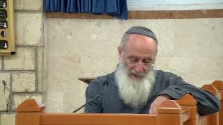 הנקמה לעומת הנקמנות היא חלק מעשיית הצדק בעולם – שיעור 117 – ספר במדבר