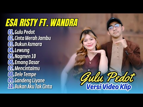 Esa Risty Ft. Wandra - GULU PEDOT - CINTA MERAH JAMBU - LEWUNG | ALBUM DANGDUT VIRAL TERPOPULER 2025