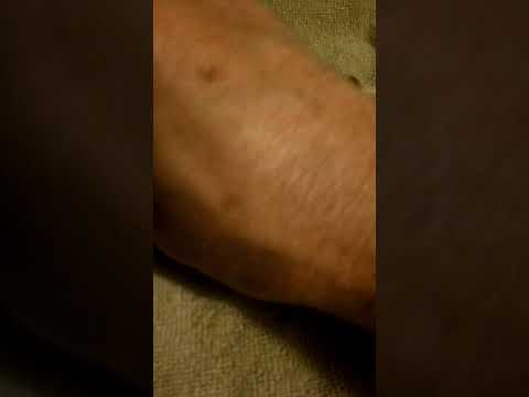 CVA MagHunter Inline 50 cal. Muzzleloader bolt