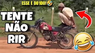 TENTE NÃO RIR: OS MELHORES VÍDEOS DA INTERNET #videosengracados #tentenaorir #humor #comedia #tiktok