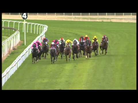 29/1/14 Eagle Farm R 2 - #15 Satirical Lass (Bobby El-Issa)