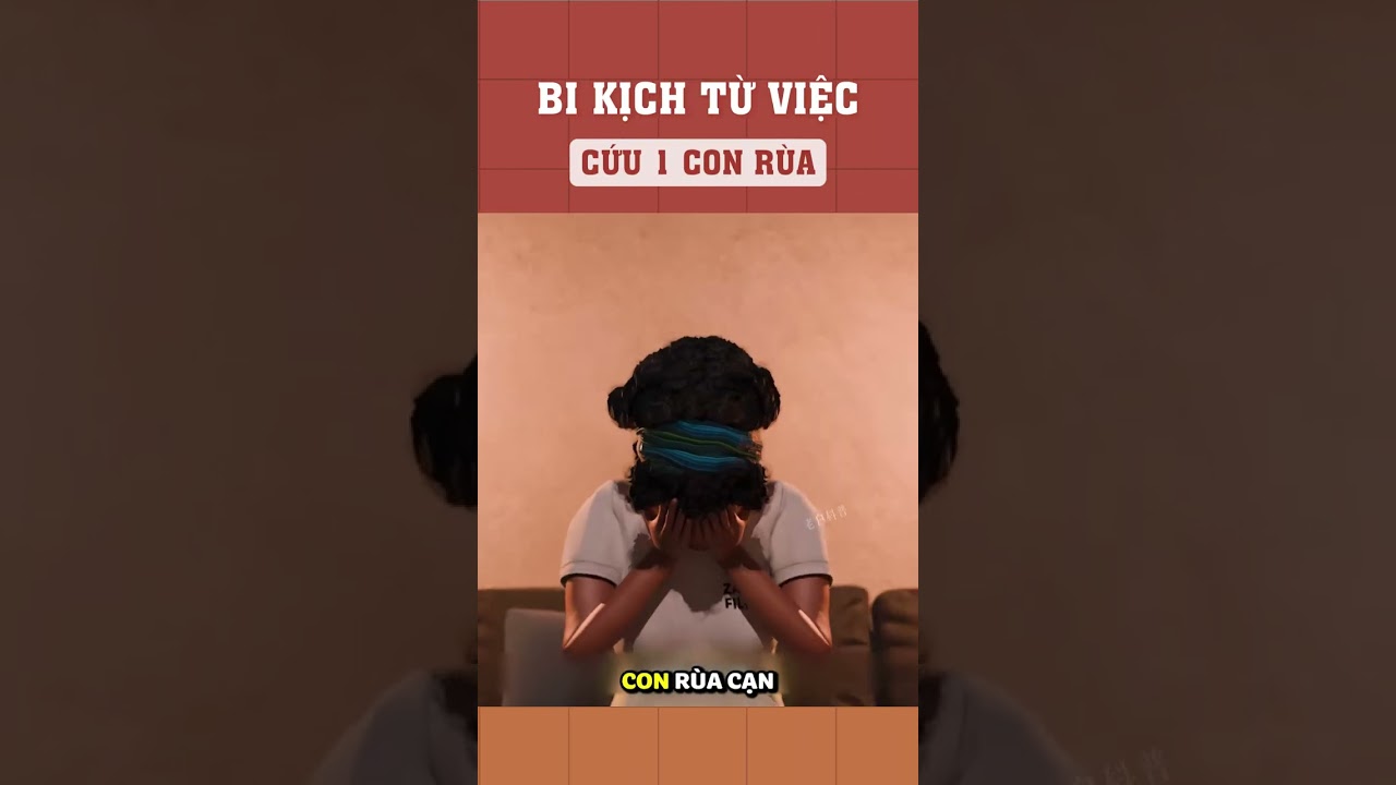 Bi kịch từ việc cứu một con rùa