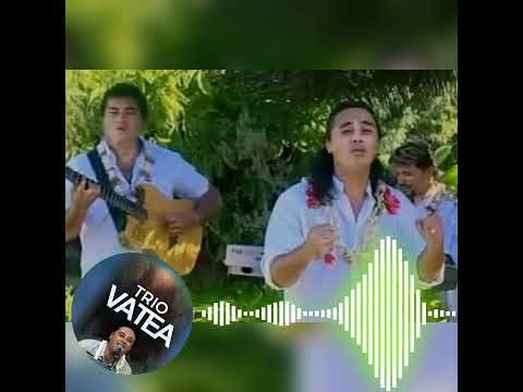 TRIO VATEA VOL 1 - PRESQUE RIEN SLOW JECK MEDLEY