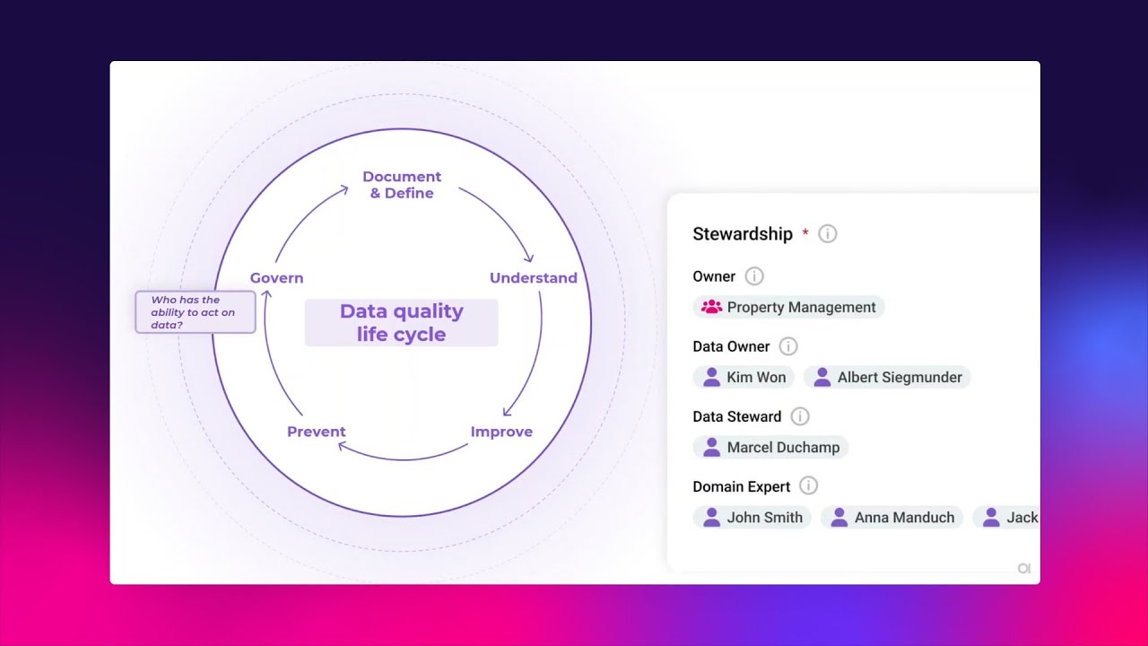 ONE Master Data Management Demo Intro