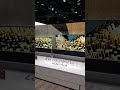 CES 2019 LG SIGNATURE OLED TV R