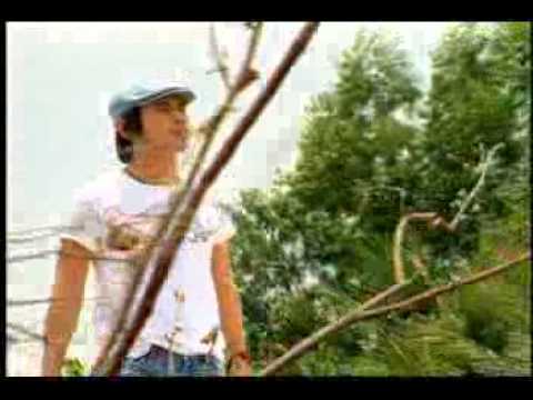 Chuyện đời - Lâm Hùng