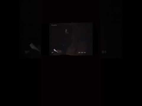 Ant Wan och 10an snackar om musik (Bandokidsmusic)