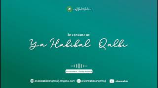Download lagu Ya Habibal Qalbi - Instrument Biola mp3