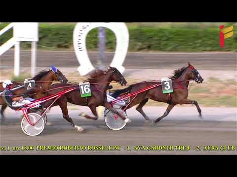 I Corsa del 11 Agosto 2021 - 5 Anni ed oltre - Metri 2000/2020