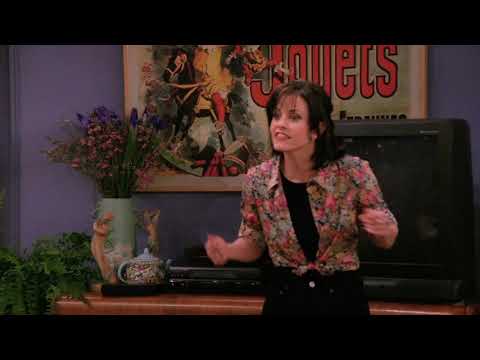 Ross and monica fights