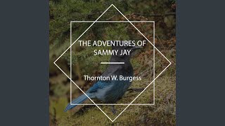 Sammy Jay Drops a Hint