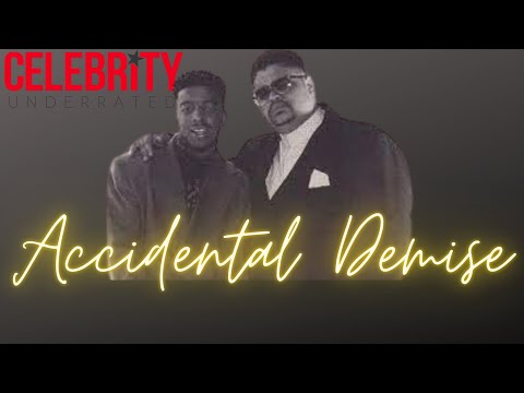 Accidental Demise - The Trouble T-Roy Story (Heavy D And The Boyz)